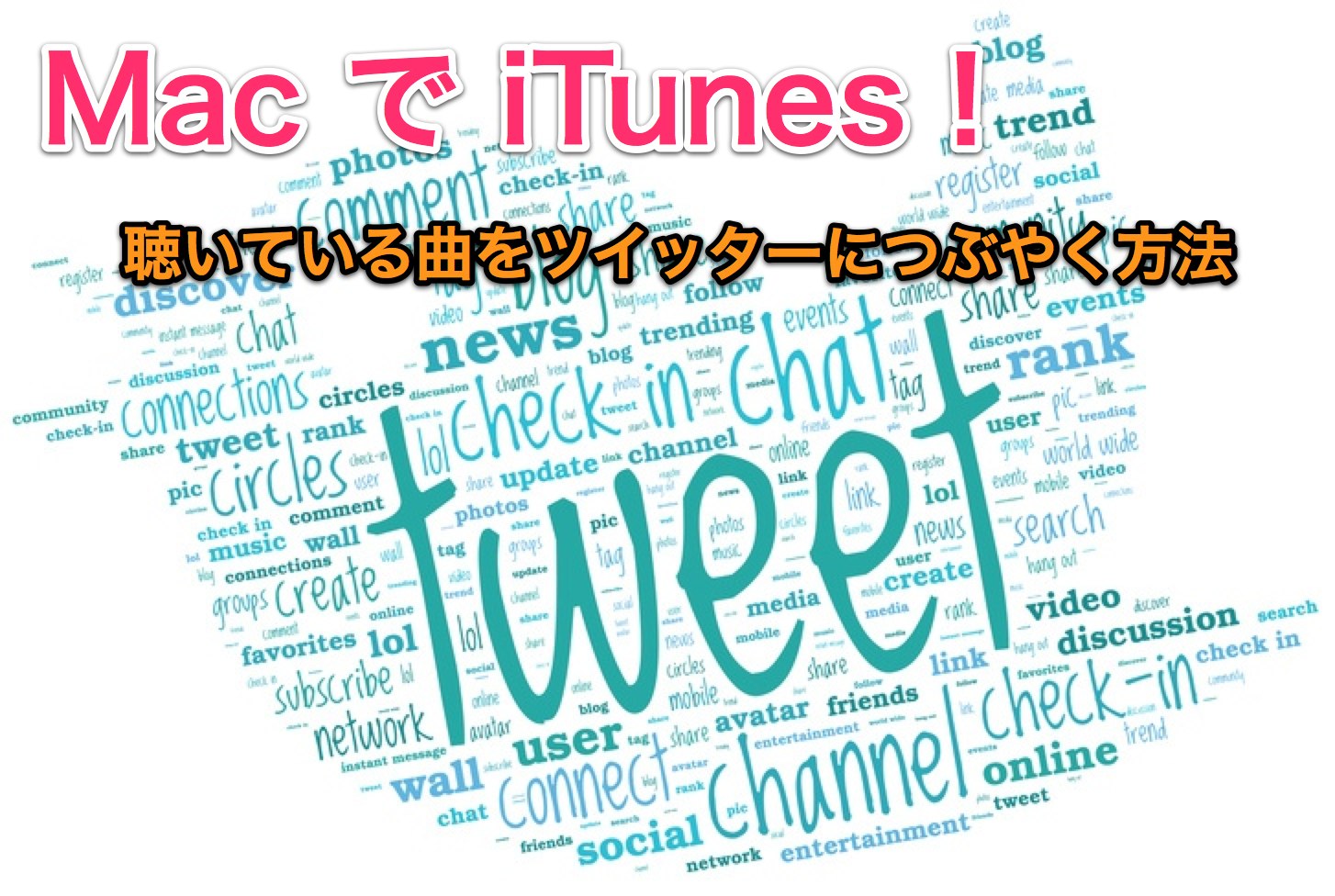 tweet.jpg